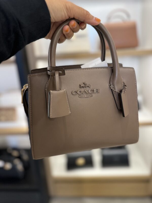 Coach Andrea Carryall Bag (Dark Stone) - Image 6